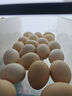 1号会员店 可生食标准鲜鸡蛋30枚 净重3斤 1号会员店自有品牌  源头直发 实拍图