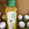 农夫山泉 东方树叶茉莉花茶500ml*15瓶无糖茶饮料0糖0脂0卡整箱装热门商品 实拍图