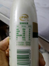 伊利金典3.8g乳蛋白 鲜活纯牛奶250ml 单瓶 实拍图