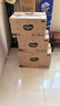 好奇（Huggies）铂金装小桃裤纸尿裤M144片(6-11kg)中号尿不湿【透爽散热】 实拍图