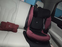 SWANDOOCharlie儿童安全座椅3-12岁成长型宝宝婴儿i-Size认证汽车用 水果红【新款带急救手环】 实拍图