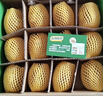 佳沛（zespri）绿奇异果 优选大果12粒单果约113-135g  水果 猕猴桃 实拍图