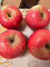 京鲜生 烟台红富士苹果 净重10斤 单果190g以上 生鲜水果 礼盒装 实拍图