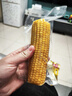 十月稻田 黄糯玉米 3.52斤(220g*8根)  杂粮粗粮 东北玉米 低脂早餐 新米 实拍图