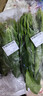 大菠菜300g 实拍图