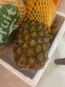 佳农 菲律宾进口菠萝 2个装 凤梨 单果净重2斤 生鲜水果源头直发 包邮 实拍图