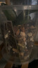 花大师 兰花专用土蝴蝶兰君子兰专用花土营养土兰花植料松树皮颗粒透气 老款高配12升【精选6种石料】送3礼 实拍图