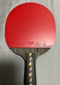 红双喜DHS狂飚五星乒乓球拍横拍反胶弧圈结合快攻H5002含拍包 实拍图