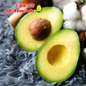 京鲜生牛油果先生 新西兰进口即食超大果4粒装 单果160g起 源头直发包邮 实拍图