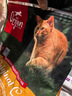 渴望猫粮 成猫幼猫粮 通用原味鸡肉进口5.4kg*2效期26/5 实拍图