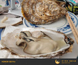 鲜京采 鲜活生蚝5XL 净重5斤 9-12只 鲜活到家 生鲜海鲜 源头直发 实拍图