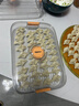 龙士达冷冻饺子盒 冰箱收纳盒 专用馄饨盒冷冻托盘多层食品级 一层一盖 实拍图