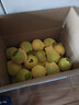 京鲜生 云南哀牢山冰糖橙/橙子 净重9斤 单果170-260g 生鲜水果礼盒 实拍图