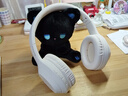 联想（Lenovo）头戴式无线蓝牙耳机电竞游戏有线两用重低音乐运动降噪通用小米手机 TH10米白 实拍图