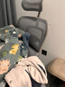 Ergonor保友金豪b雄鹰 人体工学椅 电脑椅 电竞椅办公椅子可躺老板椅 【金豪b雄鹰X】银白网 实拍图