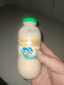 李子园【成毅代言】甜牛奶乳饮料哈密瓜味225ml*20瓶儿童早餐奶送礼黑五 实拍图