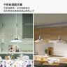 宜家（IKEA）FYRTIOFYRA菲蒂菲拉吊灯款复古餐桌灯简约现代艺术创意 铬纹/白色吊灯(灯泡+挂钩另购) 实拍图
