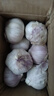 紫白皮蒜水果大蒜超市即食生鲜蔬菜大蒜 【优选】带箱 1斤 单果3.5-5cm 实拍图