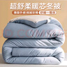 南极人单人学生宿舍春秋被子 加厚四季被芯5斤 150*200cm蓝灰 实拍图