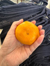 京鲜生 浙江涌泉蜜桔 净重4.5-5斤 单果65-75mm 桔香浓郁 源头直发包邮 实拍图