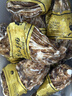 鲜京采 鲜活生蚝5XL 净重5斤 9-12只 鲜活到家 生鲜海鲜 源头直发 实拍图