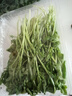 【山野寻鲜】芝麻菜150g 实拍图