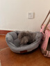 憨憨宠狗窝猫窝冬季可水洗加厚宠物窝泰迪中小型犬狗垫子沙发狗床 双面加厚八角窝 小号 实拍图