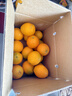 土八鲜江西橙子赣南脐橙新鲜水果赣州脐橙手剥甜橙礼盒 特级净重9-10斤装【单果240-330g】 实拍图