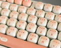 AKKO馒头乐园MG108B 可爱键帽机械键盘三模RGB热插拔电脑笔记本客制化键盘 七夕情人节礼物送女友 实拍图