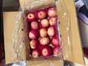 京鲜生 烟台红富士苹果 净重10斤  单果160g以上 水果礼盒 实拍图