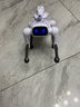 盈佳智能ai机器狗遥控车早教编程机器人遥控儿童玩具男孩女孩生日礼物 实拍图