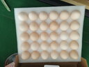 正大食品 正大 鲜鸡蛋礼盒装30枚 Plus联名款 3.18斤 源头直发 实拍图