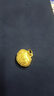 周生生黄金吊坠 足金长命锁宝宝周岁礼物不含项链09300P 计价 3.25克 实拍图