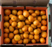 京鲜生 金秋砂糖橘/砂糖桔 5斤 生鲜水果礼盒  实拍图