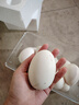 百世富泽（BAISHIFUZE）【百世富泽】黄河滩大鹅蛋新鲜正宗土鹅蛋农家自养孕妇超大鹅蛋 12枚130-150克 实拍图