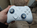 飞智冰原狼4多模版无线游戏手柄 类xbox 力调节摇杆双切扳机 switch电脑PC手机steam体感NS 丝之歌 实拍图
