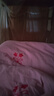 LOVO罗莱家纺 撞色青春蓄暖德绒抗菌冬被子150*215cm粉色 实拍图