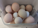 京觅富硒鲜鸡蛋 无抗生素  营养健康 30枚/盒3斤  源头直发 实拍图