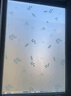 晴画磨砂玻璃贴纸 防窥防走光隐私贴膜双拼小花60*200cm 卫生间隐私膜 实拍图