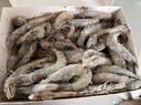 万景 北海鲜冻白虾 国产白虾 单冻无冰净重4斤 100-120只 家庭聚餐  实拍图