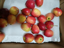 映棠 东北鸡心果5斤【顺丰快递—多地次日达】海棠果玫瑰小苹果礼盒装 3斤大果【人工精选】 现摘现发 实拍图