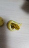 广西钦蜜9号黄金百香果万澄当季新鲜大果黄皮果奶茶店水果 【1斤 约11-17个】单果30-45g 实拍图