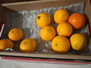 京鲜生 四川爱媛38号果冻橙 特级果净重8斤 单果230-280g 生鲜水果礼盒 实拍图