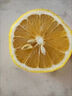 京喜加安岳黄柠檬泡水喝 新鲜水果  清香浓郁细腻 优力克黄柠檬双粒（单果50-80g) 实拍图