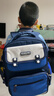 Edison小学生书包护脊减负反光大容量防泼水防下坠儿童背包2213-6天蓝 实拍图