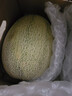 京鲜生 海南哈密瓜 西州蜜/西周蜜 2粒 5-7斤 单果2.5斤起 生鲜水果礼盒 实拍图
