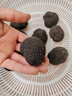 星云湖香格里拉野生黑松露猪拱菌礼盒装高黎贡山白松露米其林高端送礼 鲜黑松露 直径6-8cm 净重500g【精选品质】 实拍图
