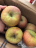 【已售万单】 源头果园冰糖心苹果 红富士苹果 新鲜脆甜水果 约10-14枚 单果130g起丨净4.5斤 实拍图