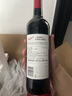 Penfolds【奔富官旗】蔻兰山设拉子赤霞珠红葡萄酒澳洲原瓶进口 送礼宴请 设拉子 750ml单支装 实拍图