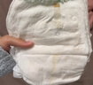 babycare金山茶花婴儿拉拉裤试用装XXXL码3片(>17kg)尿不湿【新老混发】 实拍图
